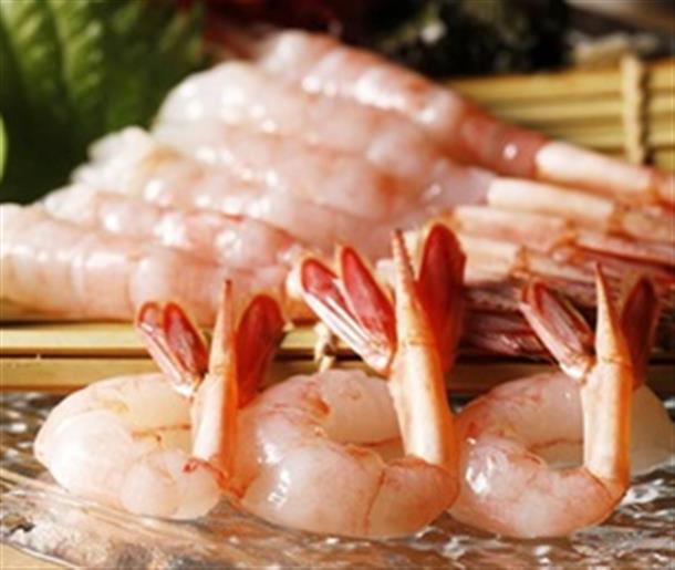 獲れたての甘えび（1kg）のお土産付き