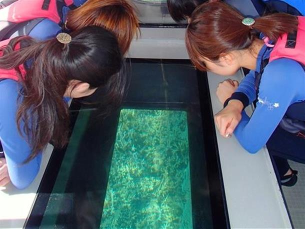 グラスボートで海底観賞