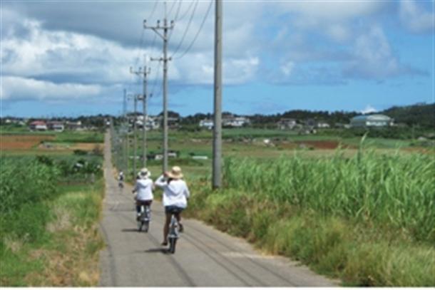 小浜島deサイクリング！