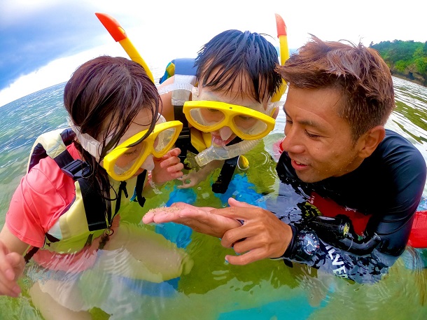 海の生き物たちも♬