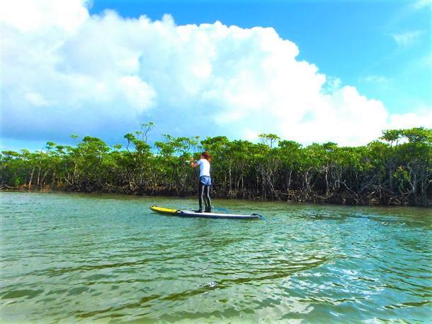 空と川とマングローブと私