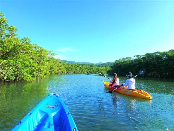 いざ！マングローブ探検へ！