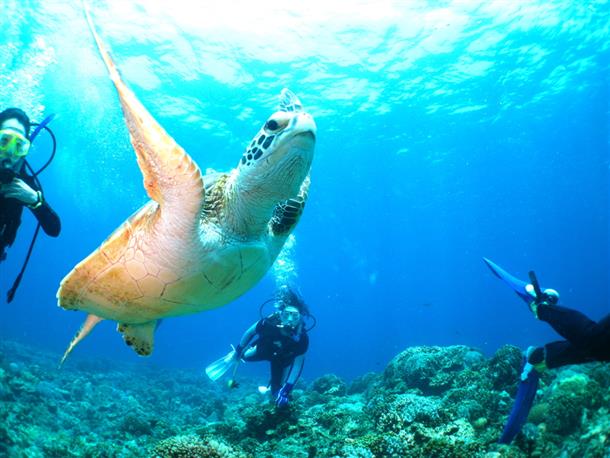 さぁ海の冒険の始まり