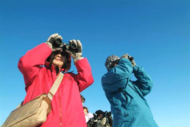 『双眼鏡』を覗いてワシの魅力に迫ろう！