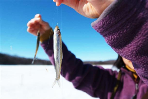 人気のワカサギ釣り＋冬の体験で半日満喫♪