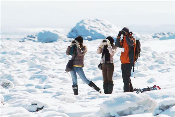 経験豊富なガイドが案内