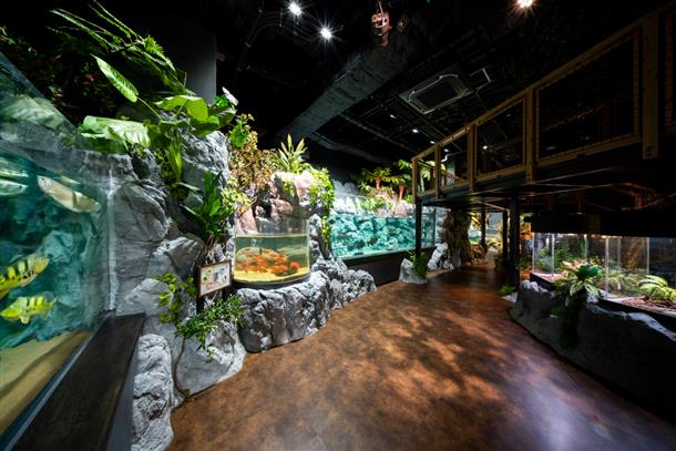 iias 豊崎内水族館