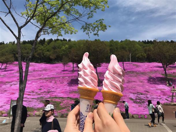 圧巻のピンク色の絨毯