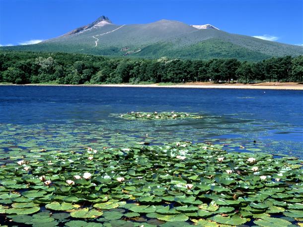 湖畔に広がる夏の絶景