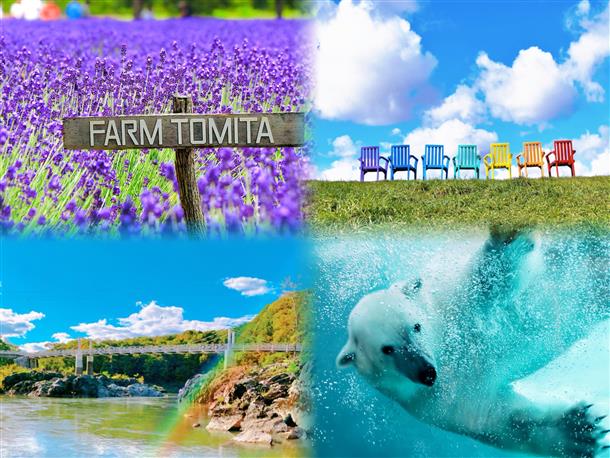 夏の北海道の魅力を凝縮♪
