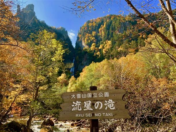 自然の力を感じられる絶景スポットです