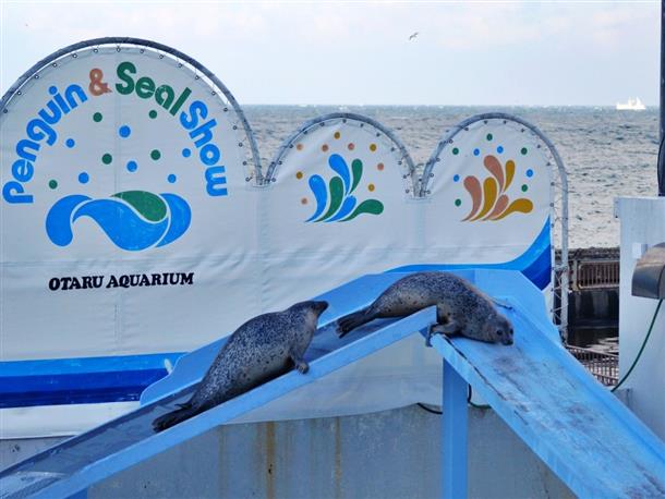 小樽水族館