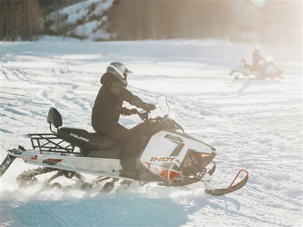 美瑛の雪原を駆け抜ける