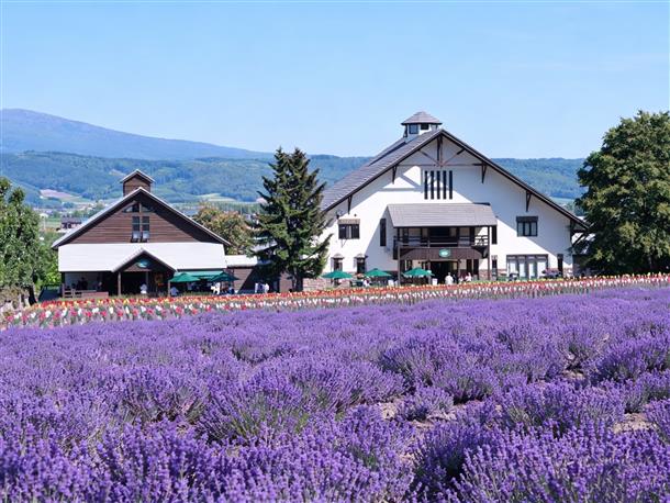 富田ファーム 