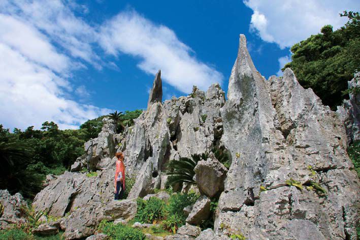 やんばる国定公園「大石林山」