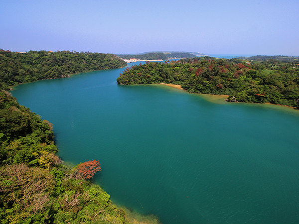 ワルミ大橋（車窓）