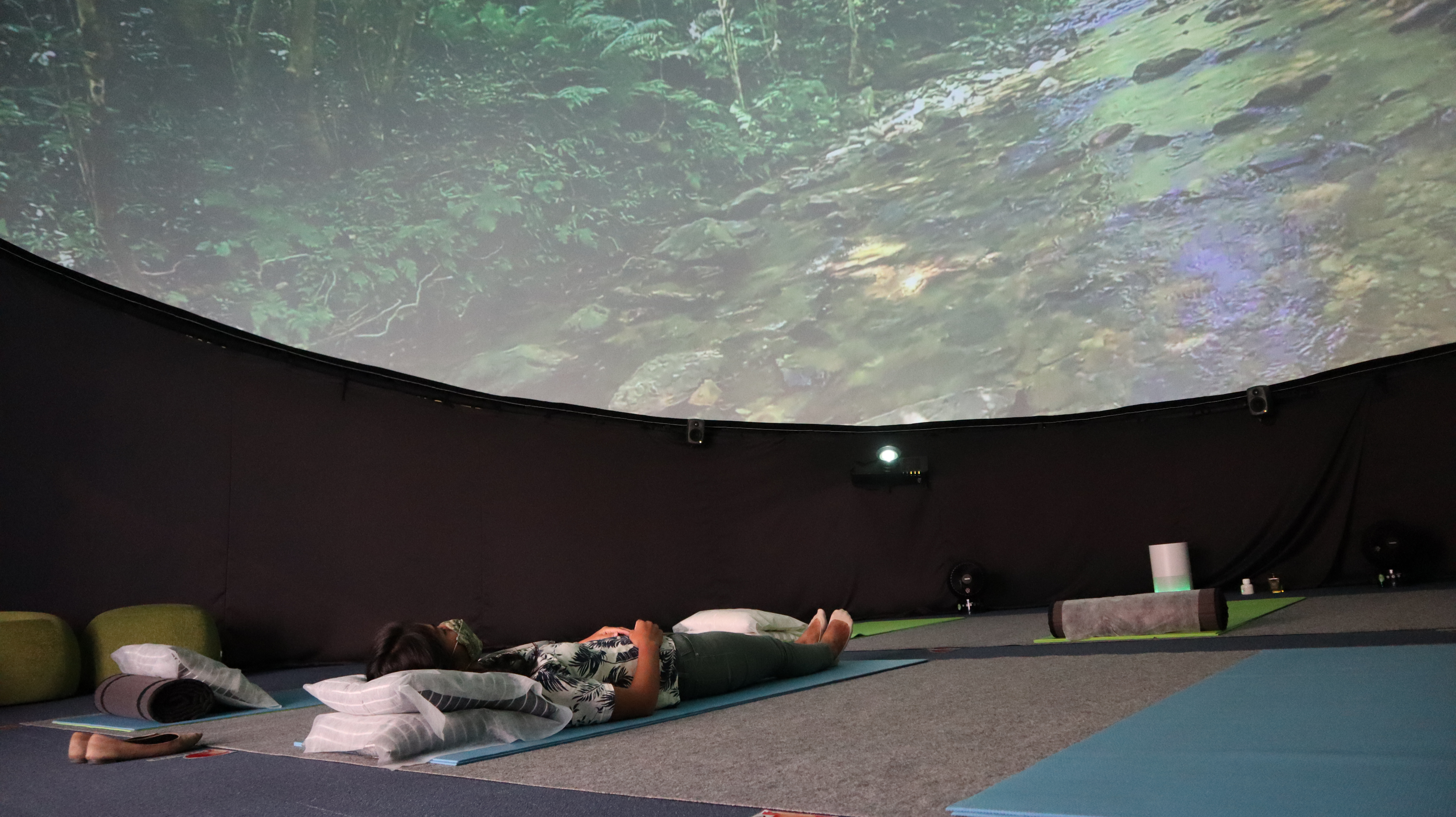 やんばるの森ﾋﾞｼﾞﾀｰｾﾝﾀｰ　