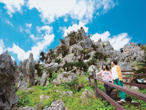 やんばる国定公園「大石林山」