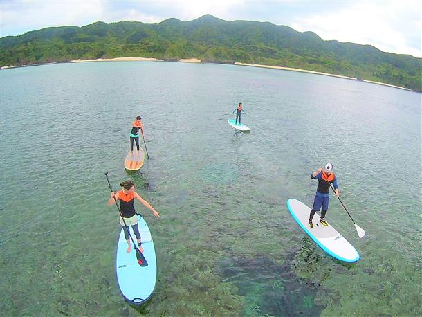 美しい珊瑚の海をクルージング