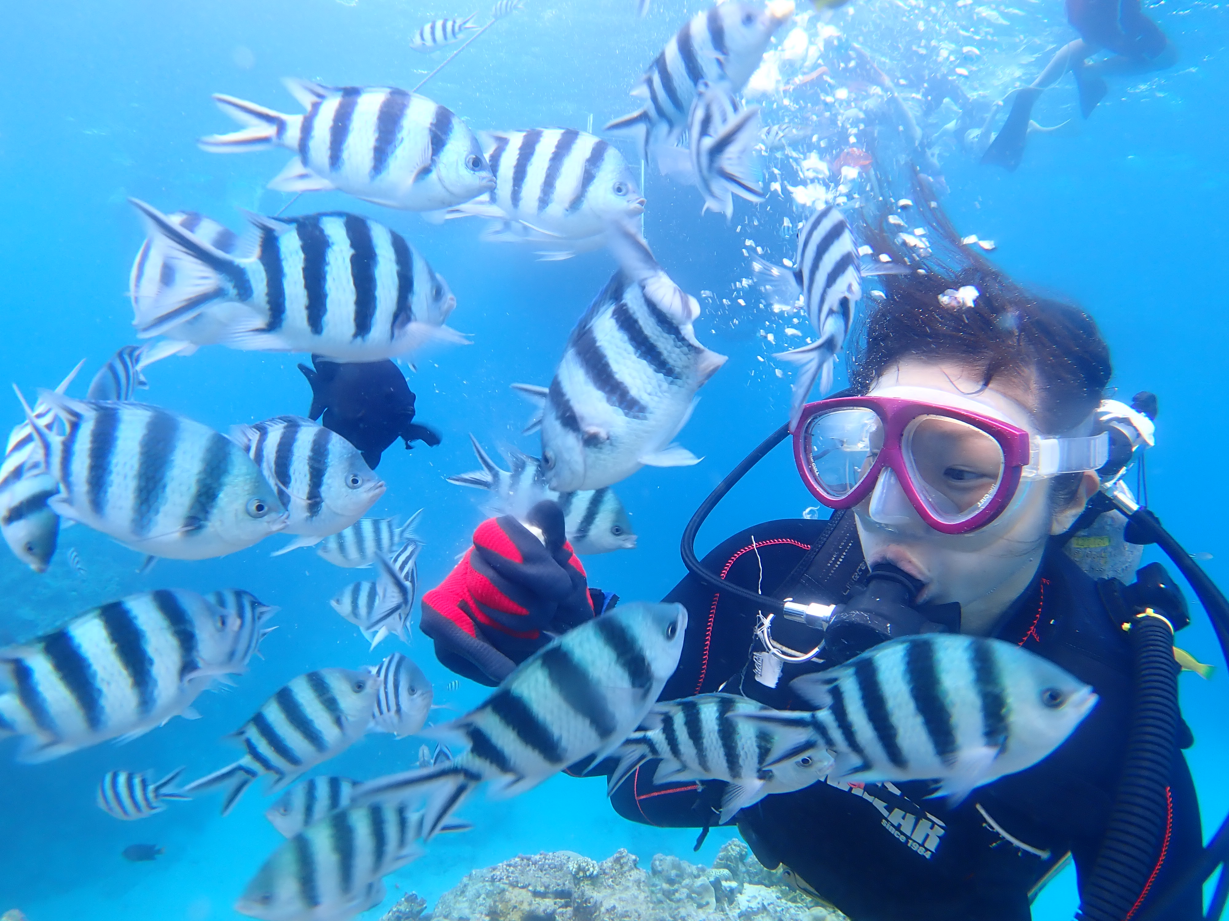 沢山のお魚に触れ合えます！