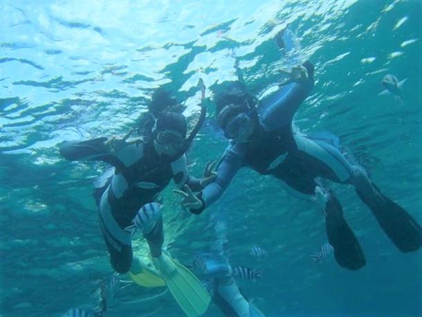 綺麗な熱帯魚と珊瑚礁の海が 楽しめる