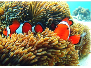 どんなお魚に会えるかな。。