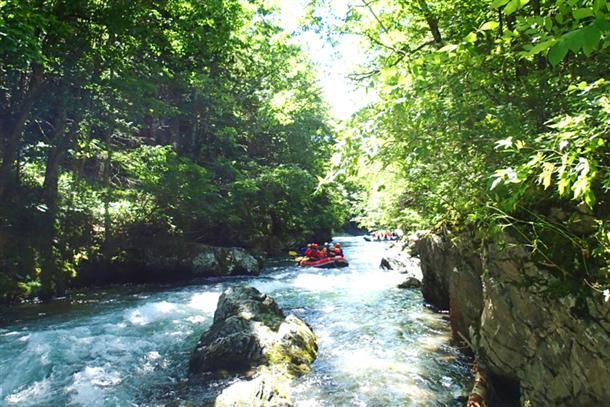 圧倒的な透明度の清流が魅力の原始河川