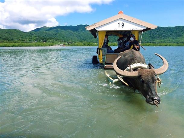 水牛車に乗って自然の植物園「由布島」へ！