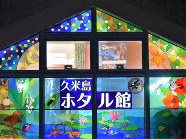 ミステリーナイトウォッチング