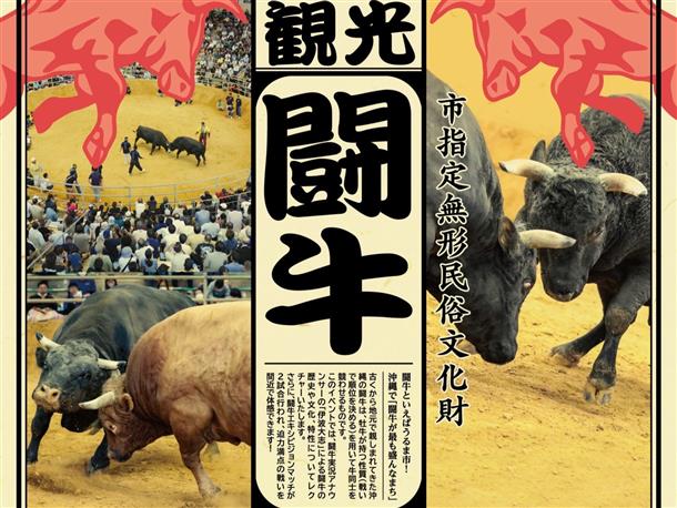 闘牛体験をしてみませんか？