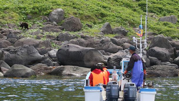 貸切で優雅にヒグマ観察