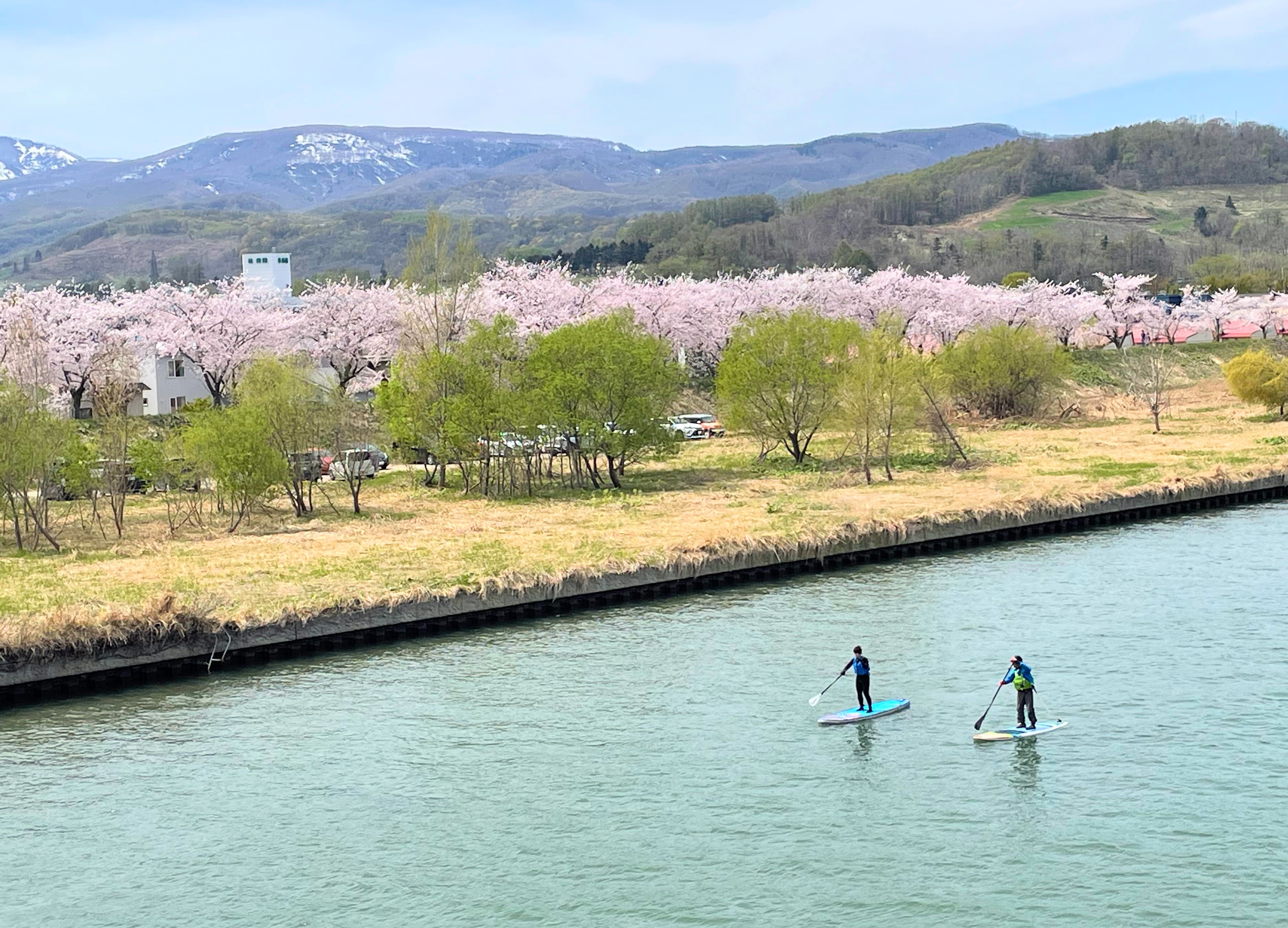 春は桜を見ながらのんびりサップ♪