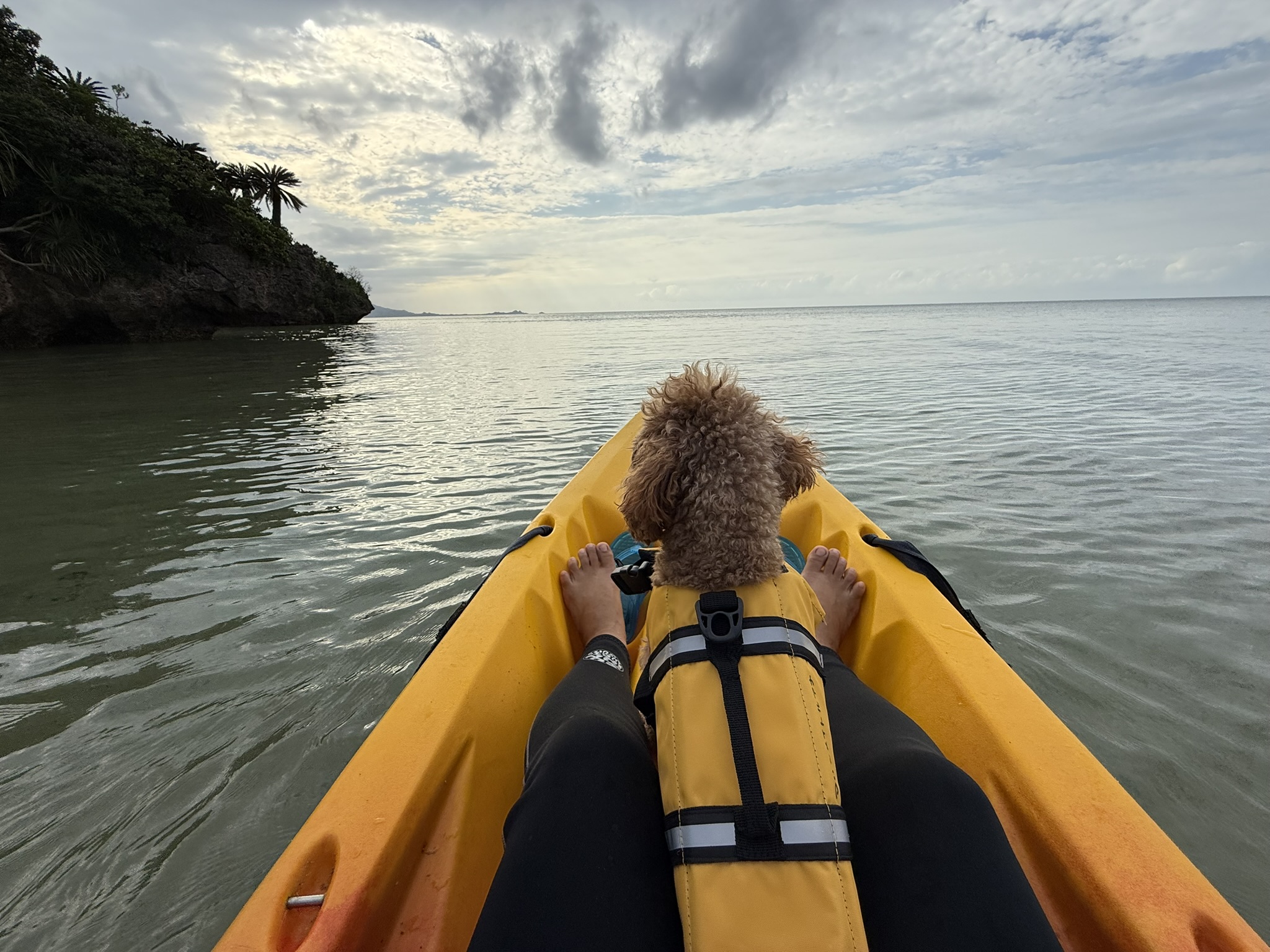 １組限定＆初心者向けの安心プラン