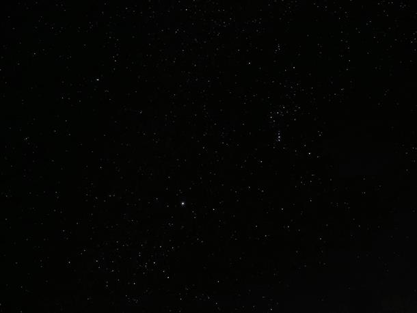 世界自然遺産・やんばるナイトハイク