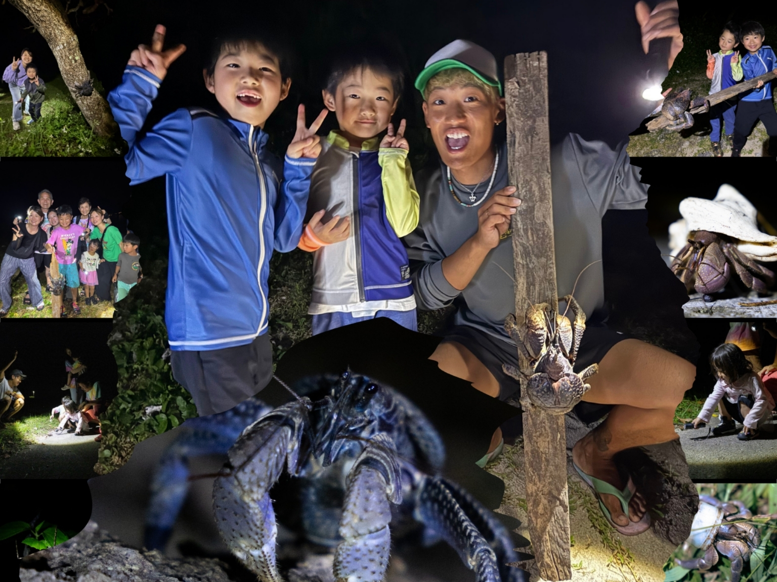 お子様大満足！夜の動植物探索