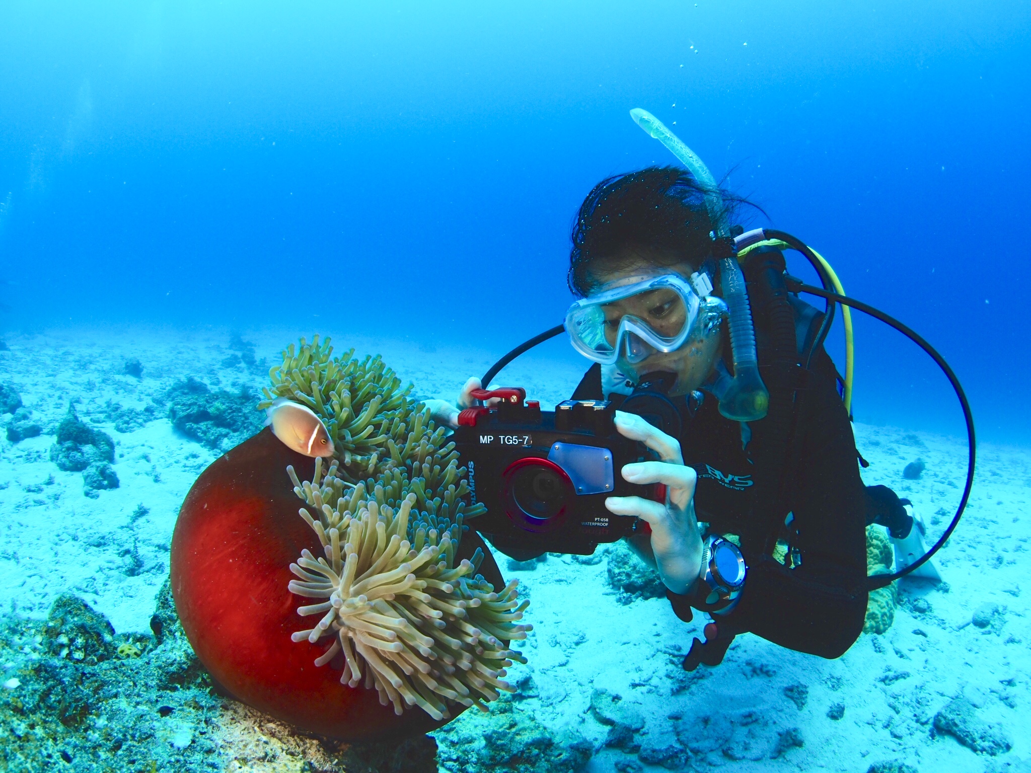 水中写真も楽しめる！ビギナーの為のコース