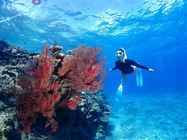 ダイナミックな海の生き物に感動間違いなし