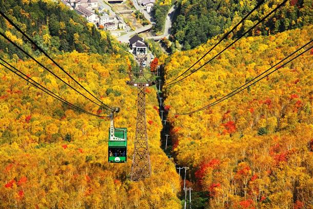 ロープウェイから見る景色は必見！