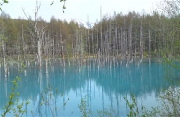 青い池　※イメージ