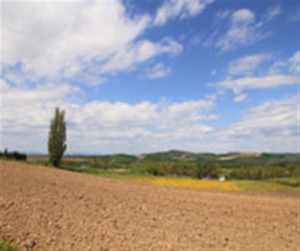 美瑛の丘　※イメージ