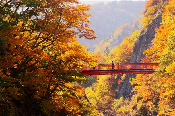 『定山渓・二見吊橋』から見下ろす錦の彩り
