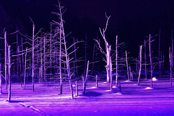 ライトアップが変わる為、何度見ても楽しい