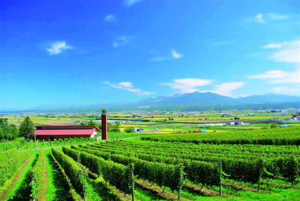 風景とスイーツが魅力！カンパーナ六花亭