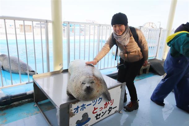 アザラシと触れ合えるとっかりセンター