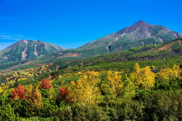 十勝岳連峰を彩る紅葉に出逢う『望岳台』