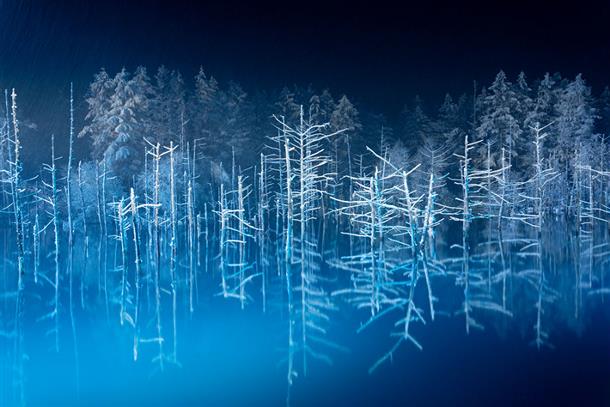 ライトアップされ、幻想的な青い池