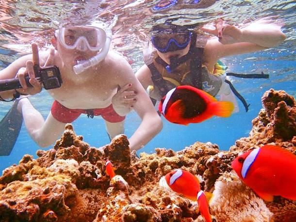 カラフルな熱帯魚にも会えちゃう