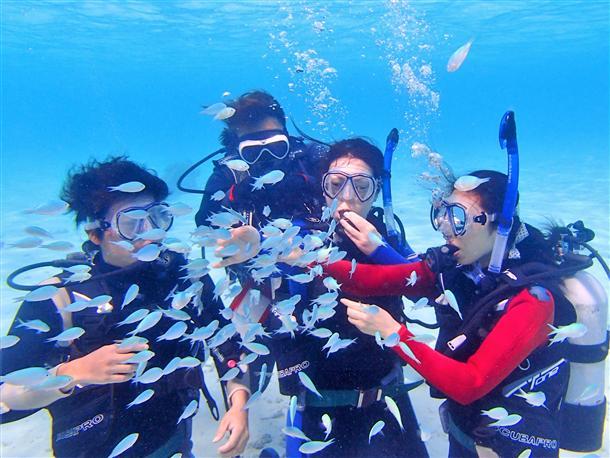 透明度抜群の海で体験ダイビング