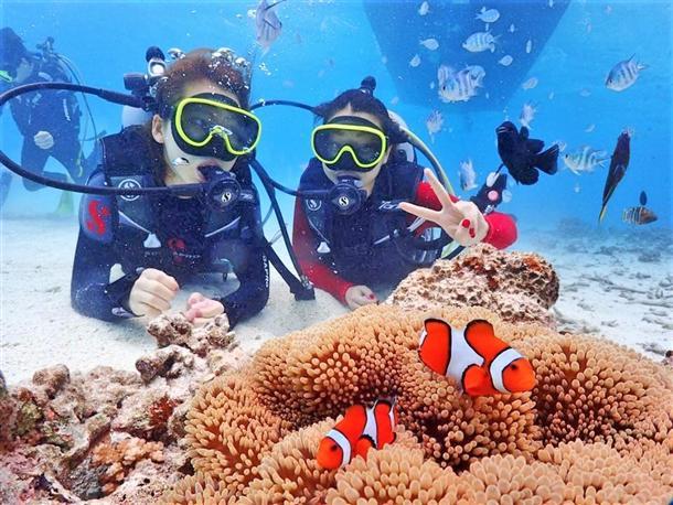 カラフルな熱帯魚にも会えちゃう