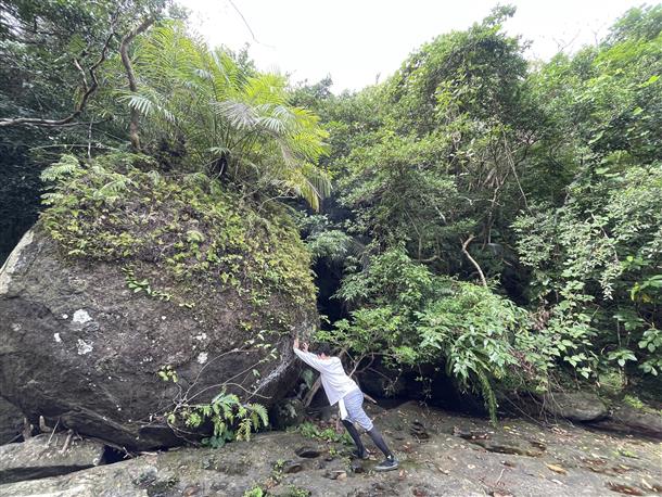 植物も岩も大きい！！